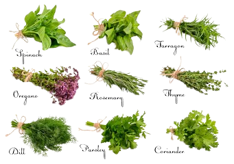 Herbs